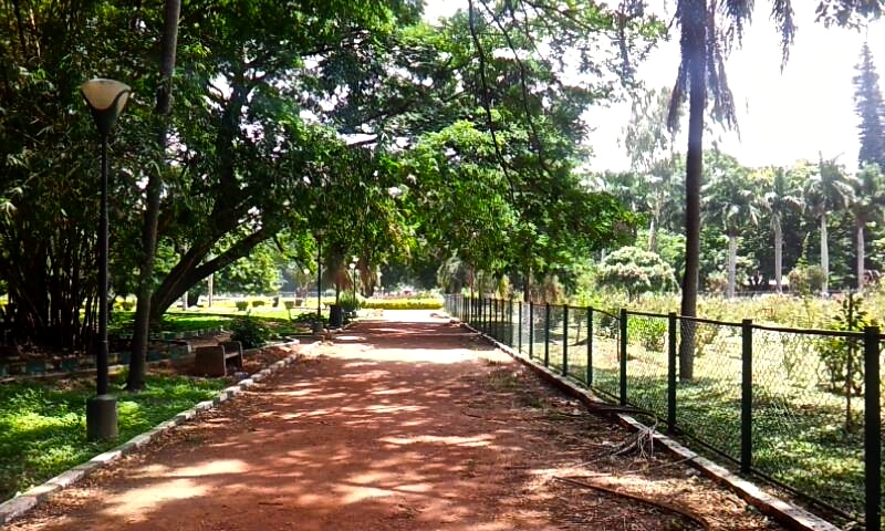 The Silent Subjects of  Mental Illness in India