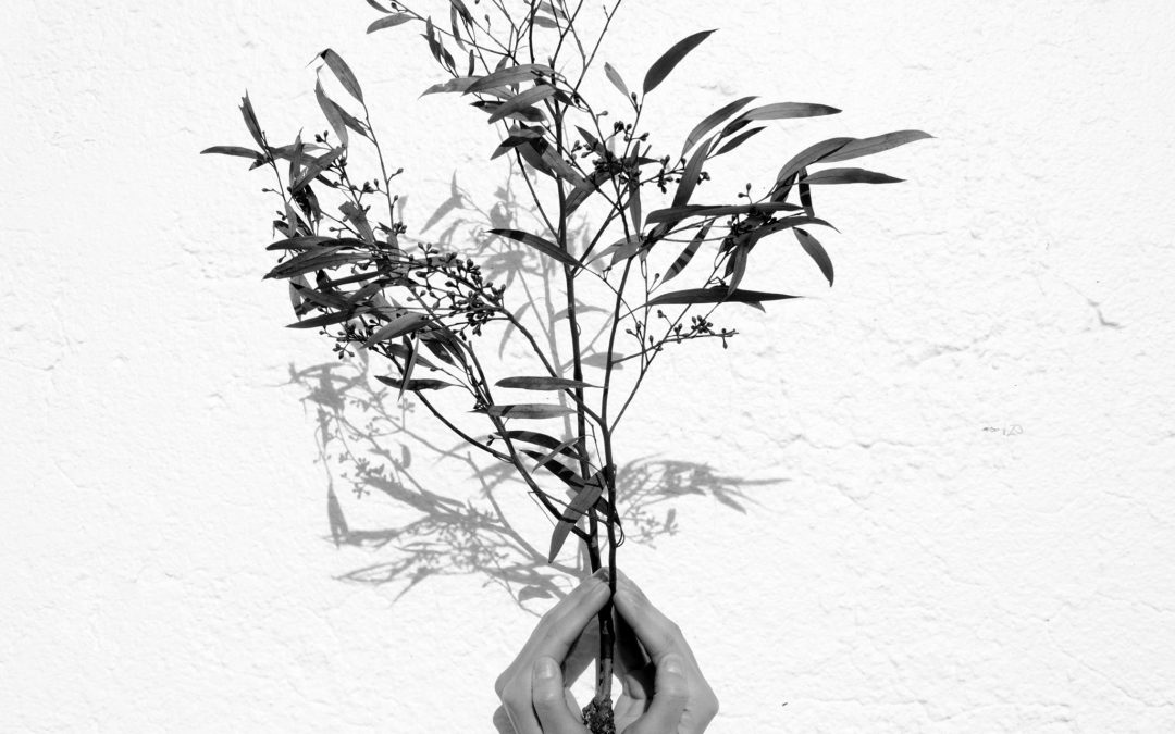 Voices from the Grassroots