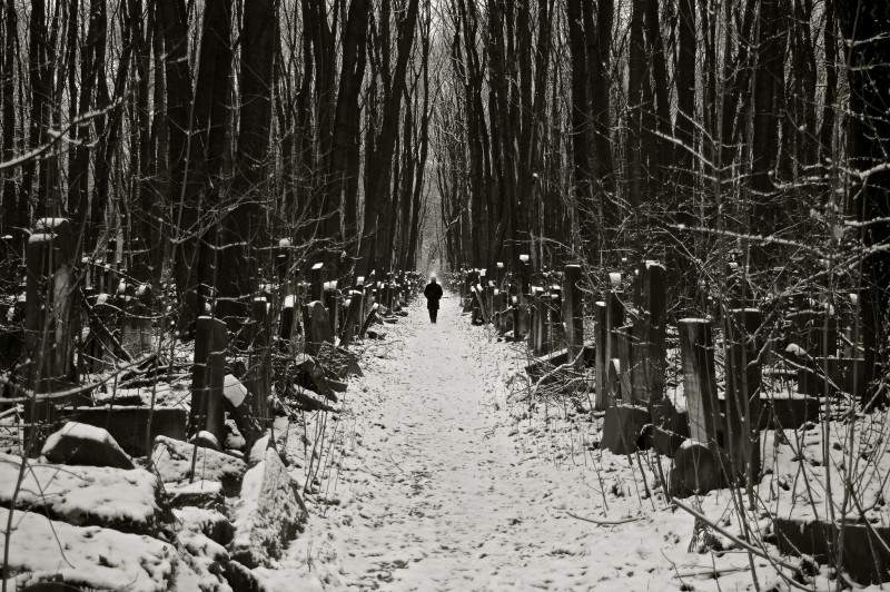 Silence and The Captive Mind