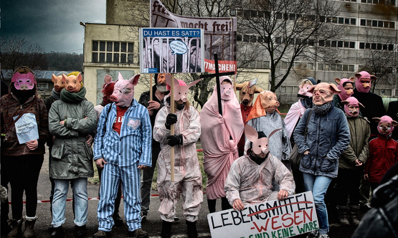 The Clamour of  Political Beings