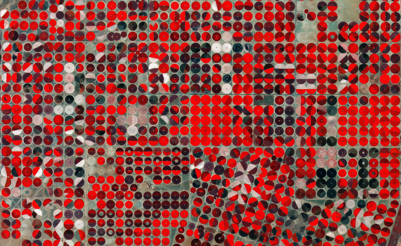 Resisting the Logic of Fear in the Age of Terrorism