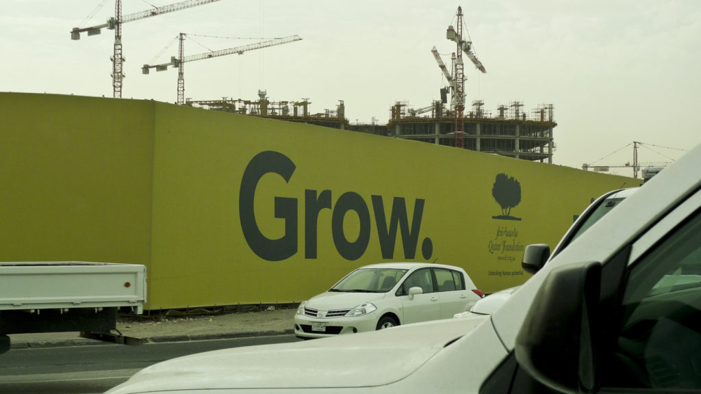 Democratic Crises and Degrowth