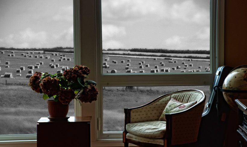 People ask me what’s it like living in New Zealand