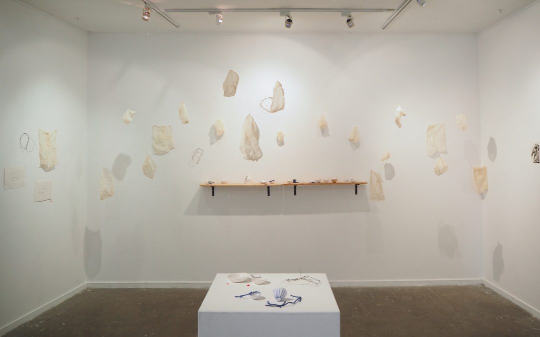 ‘Limits of Force’