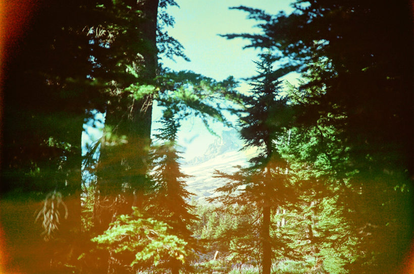 Re-thinking crisis with Hannah Arendt: Neoliberalism Against the Common World