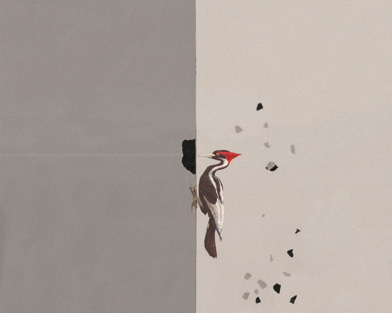 ‘A ruse to mislead’: an insider’s account of the review of the School of Culture, History and Language at ANU