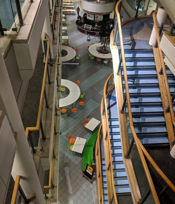 The future of the university: an interview with Raewyn Connell