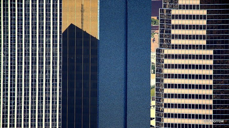 Quarantine gardening