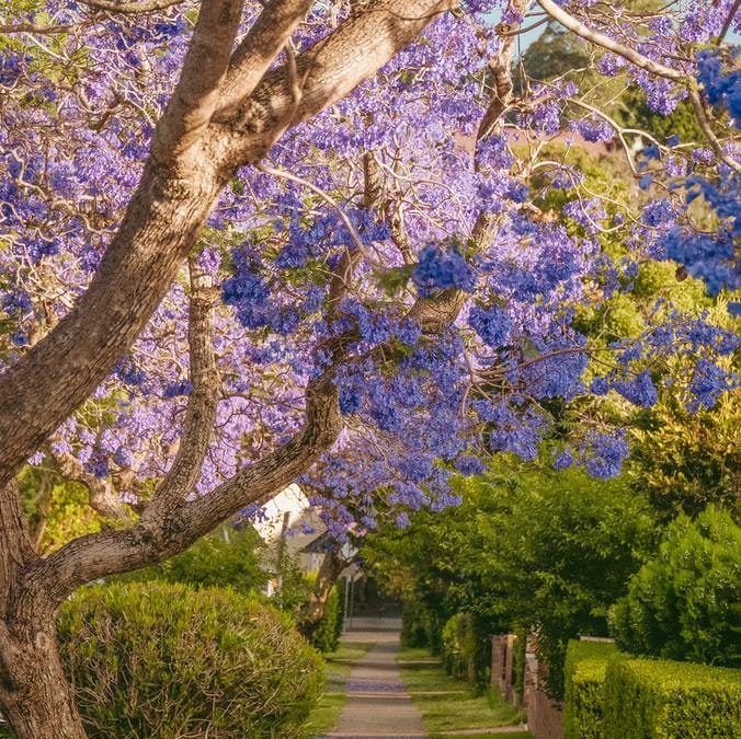 Their Eyes Were Chasing Sun